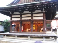 IMG_3378.JPG